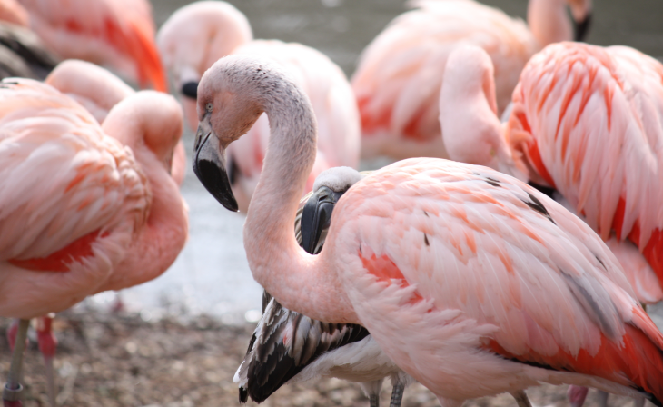 Gujarat's UNESCO Sites