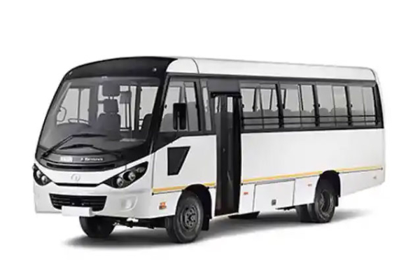 Mini Bus (Large Group)